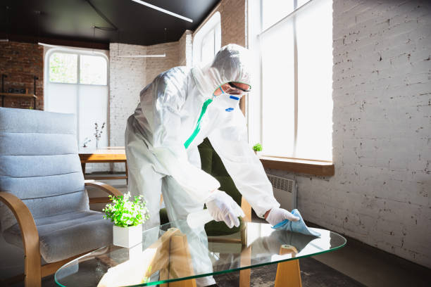 Mold Odor Removal Services in Caraway, AR